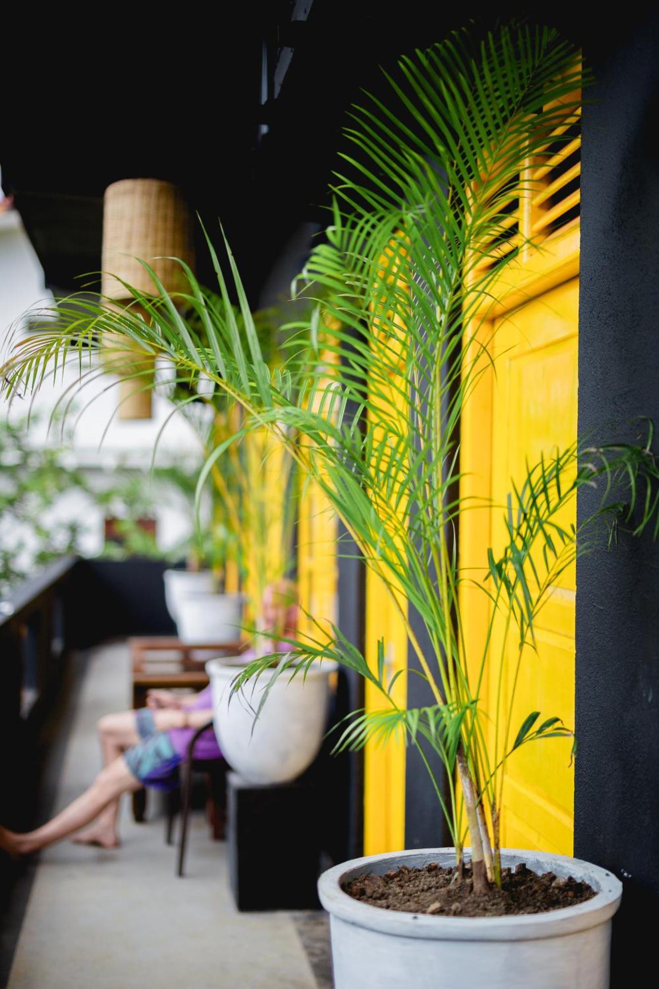 Sugar Hostel Weligama - Coliving & Coworking Екстер'єр фото