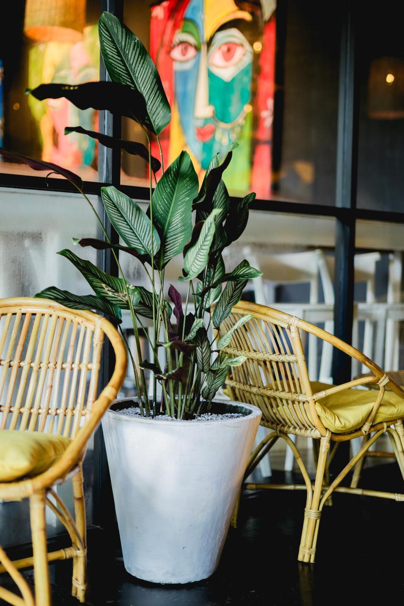 Sugar Hostel Weligama - Coliving & Coworking Екстер'єр фото
